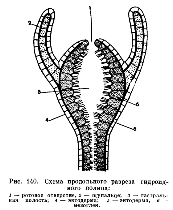 Омг ссылки зеркало